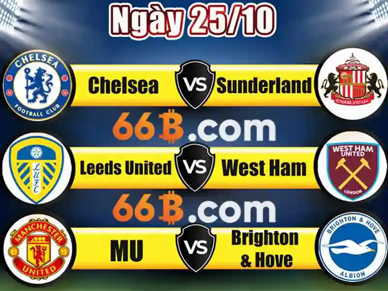 Tổng quan và giá trị của bếp từ canzy cz-66b