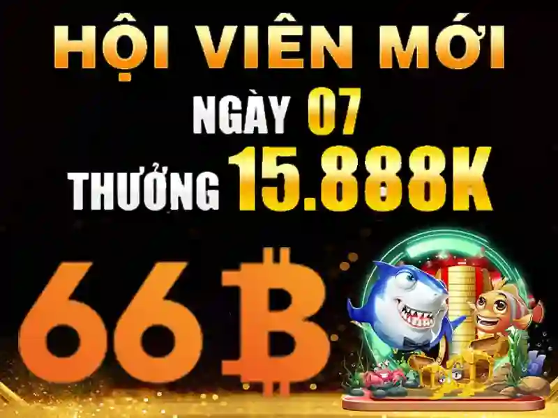 Ứng dụng thực tiễn của 66B