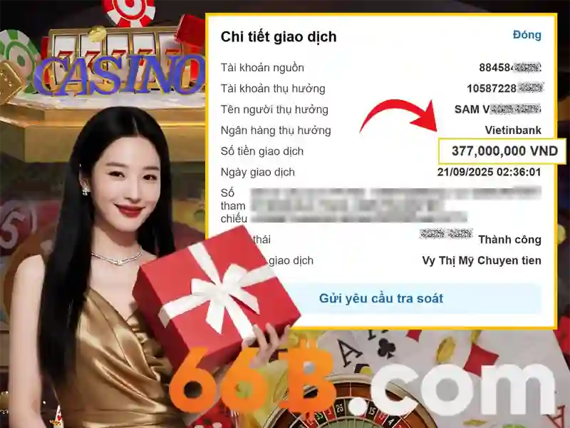 Cau truc va tham so cua 66B Cau truc va tham so cua 66B