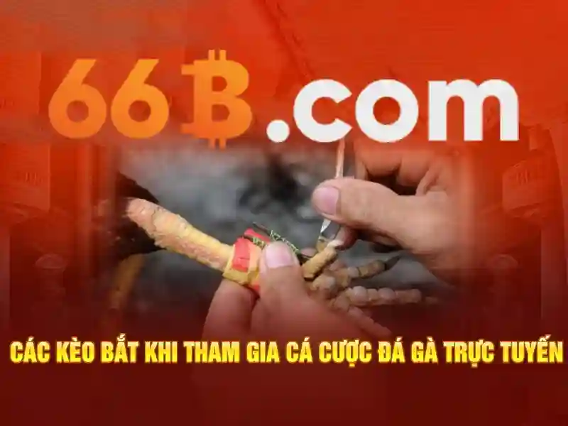 Hiệu năng và ứng dụng