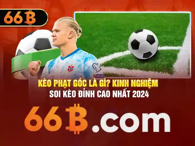 Định nghĩa và kích thước tham số