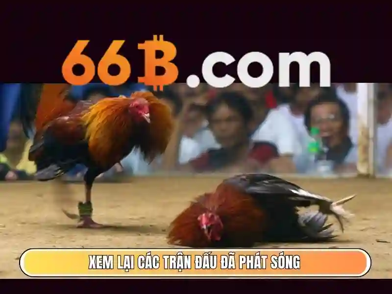 Các thành phần chính