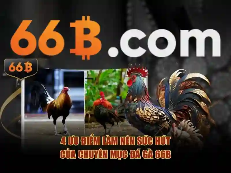 Phần mềm và trải nghiệm người dùng
