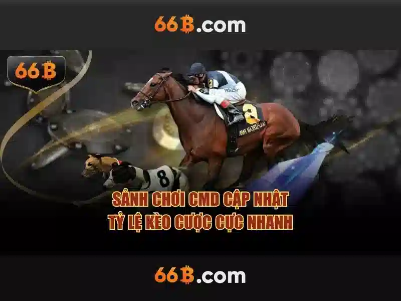 Giới thiệu về 66B