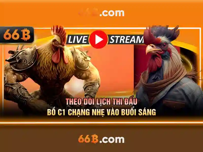 Ứng dụng của 66B trong giáo dục và doanh nghiệp