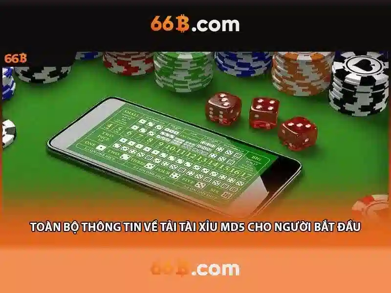 Giới thiệu về 66b