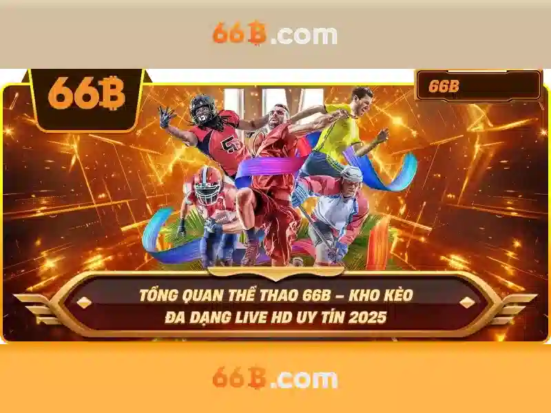 Tài khoản 66b – Tổng quan chủ đề và giá trị cốt lõi