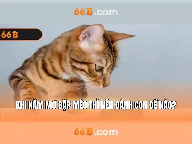 ngõ 66b triều khúc – Tóm tắt chủ đề và giá trị cốt lõi