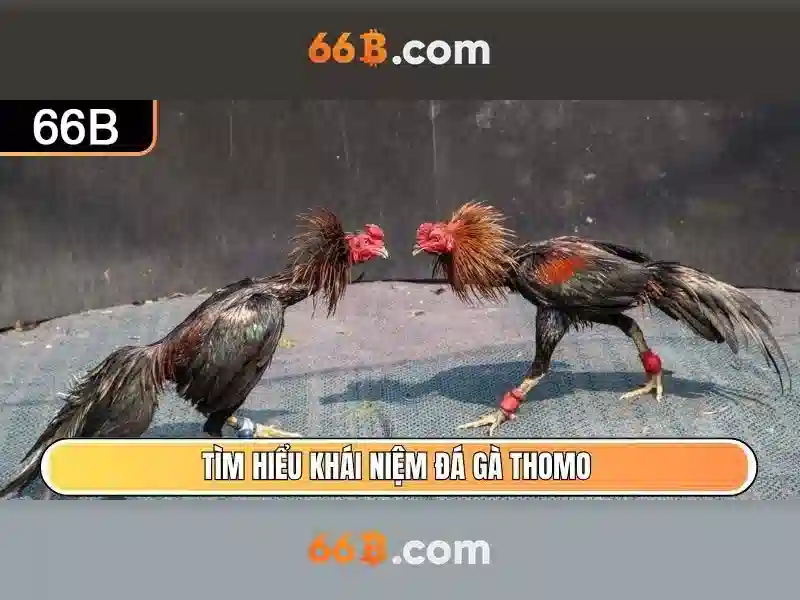 Đa nhiệm và ứng dụng