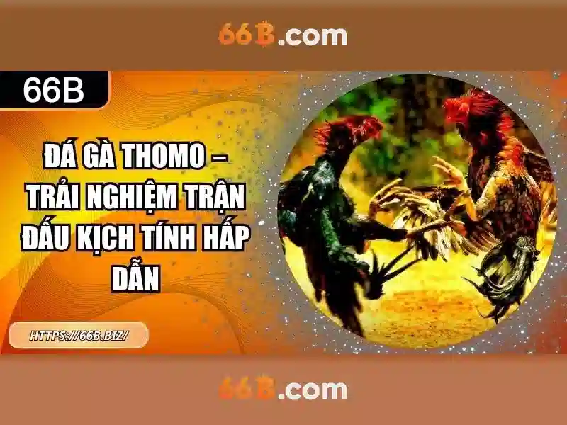 Việt Vị Trong Bóng Đá