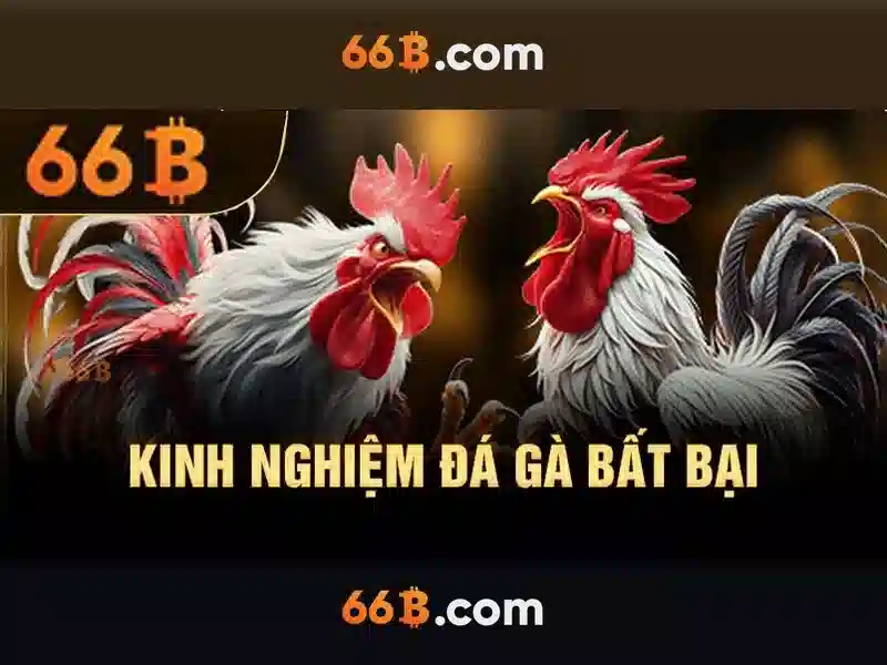 Ứng dụng tiềm năng của 66b trong nhiều lĩnh vực Ứng dụng tiềm năng của 66b trong nhiều lĩnh vực