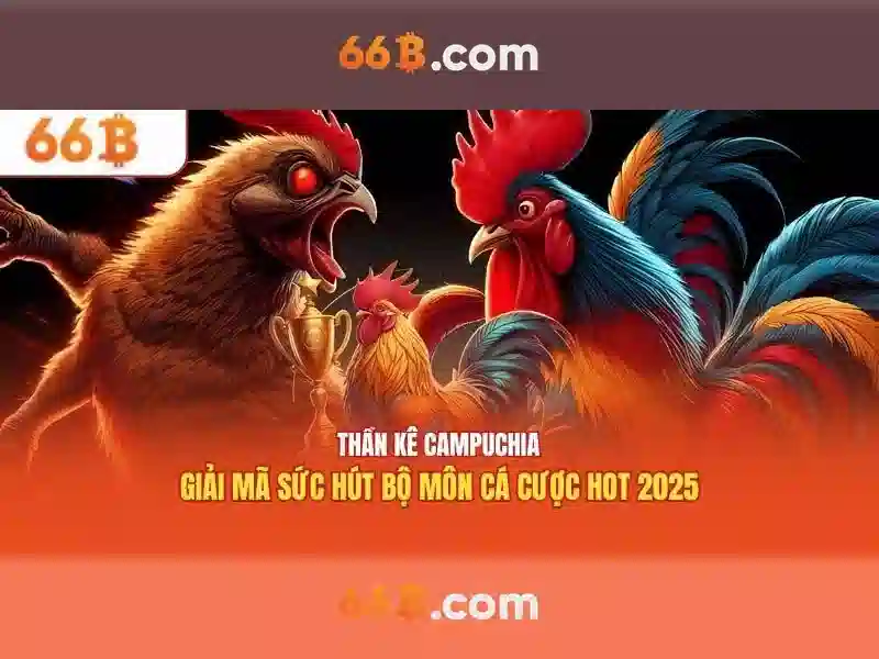 Kết luận và triển vọng