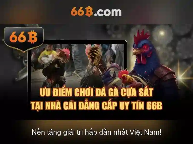 66B là gì