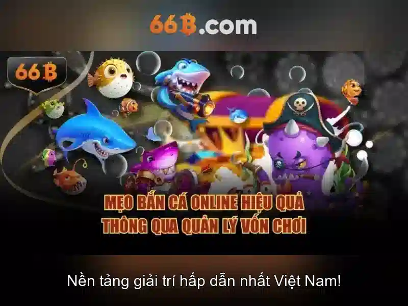 66B là gì