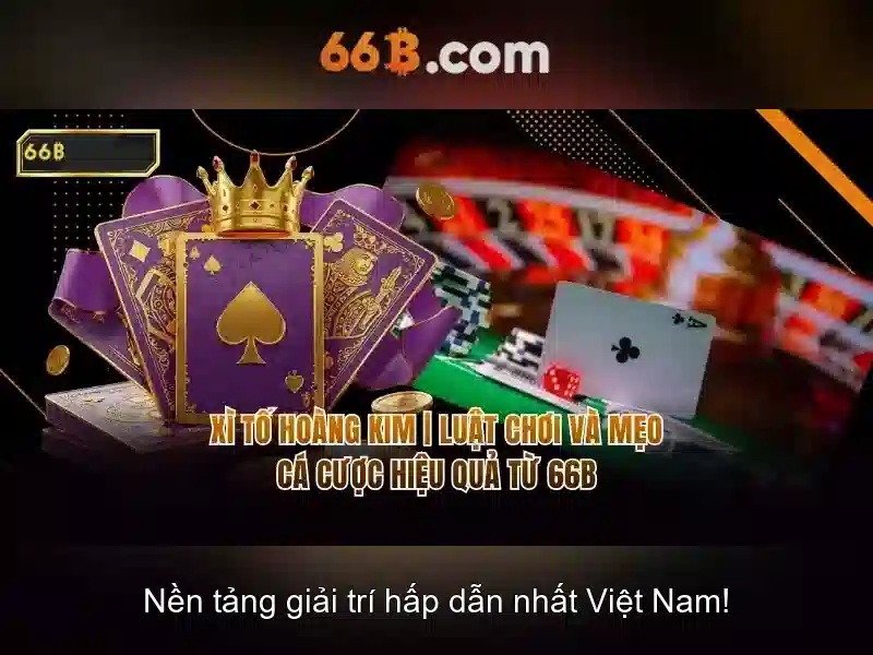 Tương lai của mô hình 66b