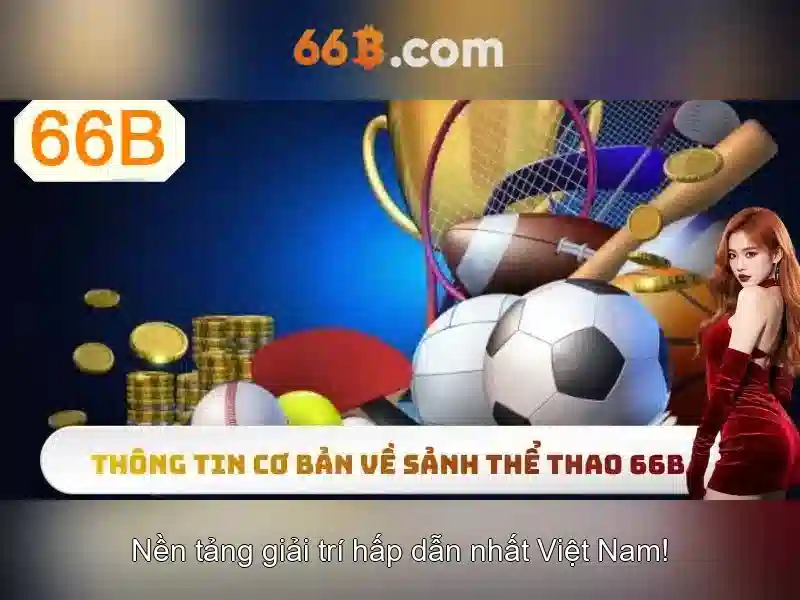 66B là gì