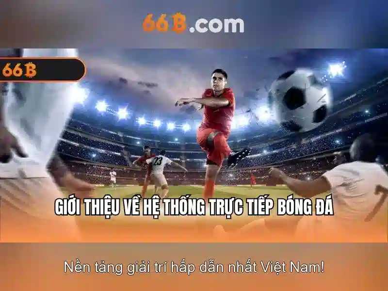 So sánh 66b với các mô hình khác trên thị trường