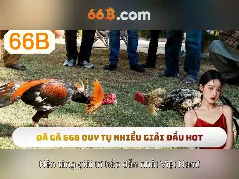 Đánh giá hiệu suất và giới hạn
