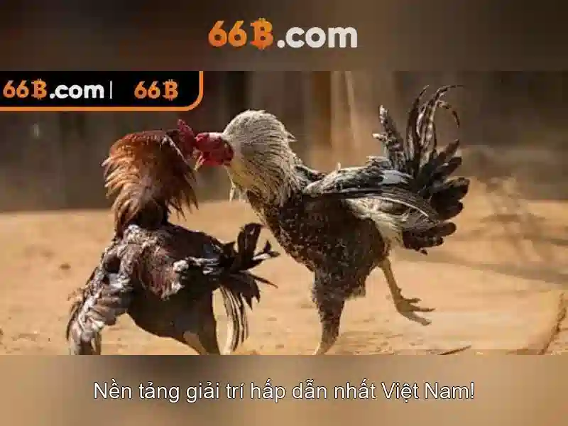 Việt Vị Trong Bóng Đá