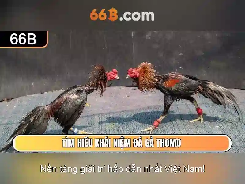 Kết luận