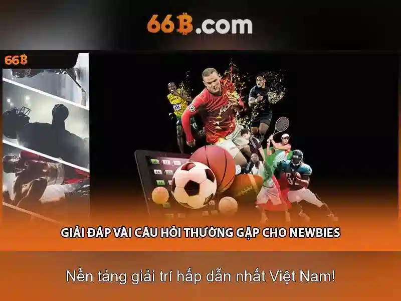 66b và thiết kế dữ liệu