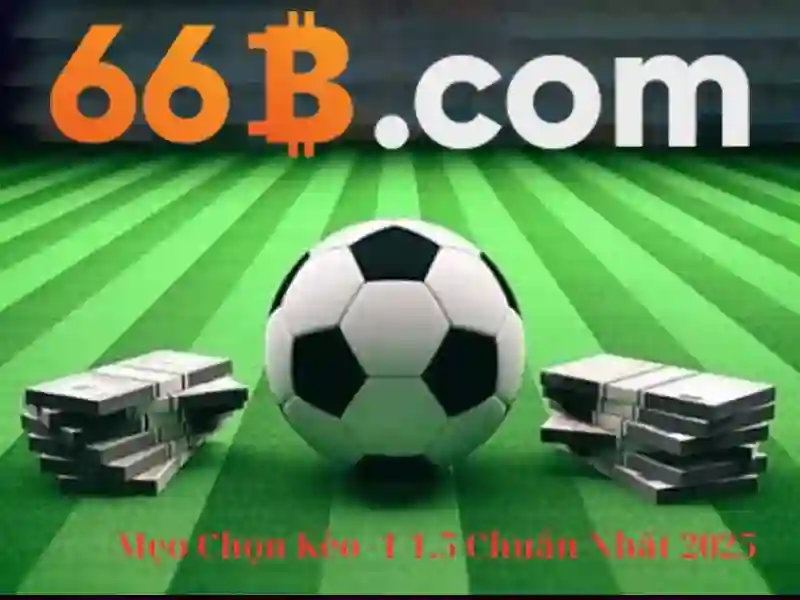 Đặc điểm nổi bật của 66B Đặc điểm nổi bật của 66B