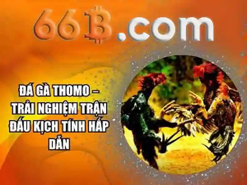 Hiệu quả và thách thức