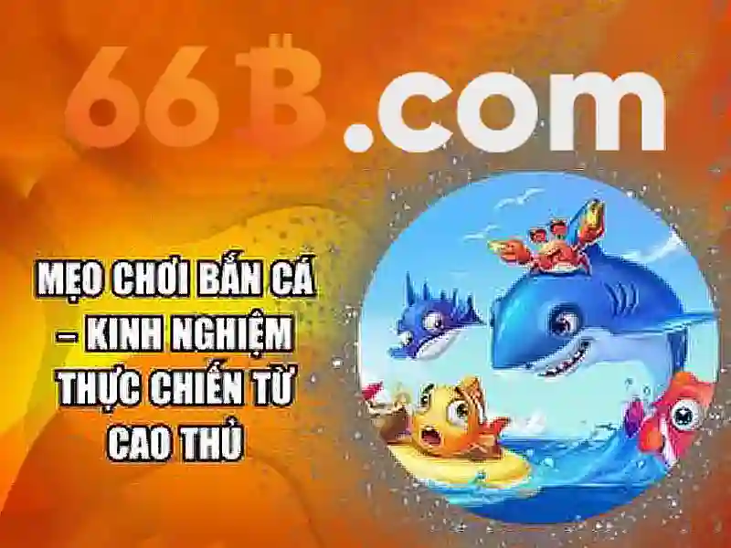 Ứng dụng của 66B