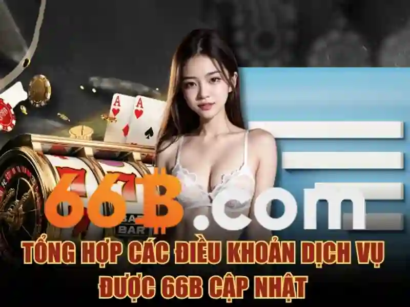 66B là gì?