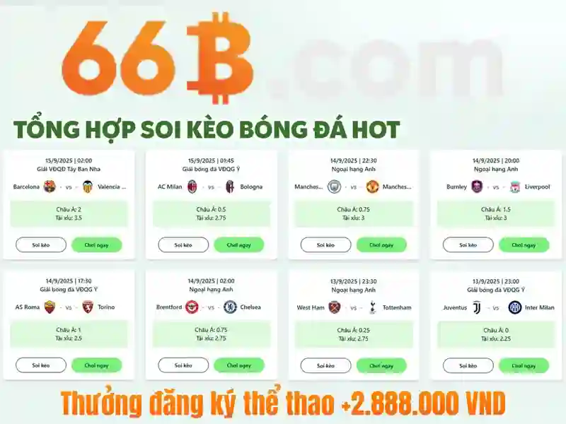 Thiết kế và cảm nhận người dùng
