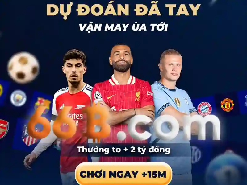 Hiệu suất và giới hạn